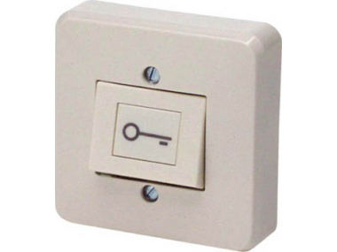 REQUEST TO EXIT BUTTON WITH KEY SYMBOL (SURFACE-MOUNT)