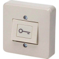 REQUEST TO EXIT BUTTON WITH KEY SYMBOL (SURFACE-MOUNT)